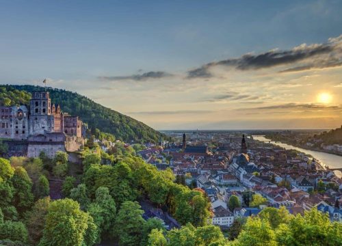Rhine River Cruise: Food & Wine