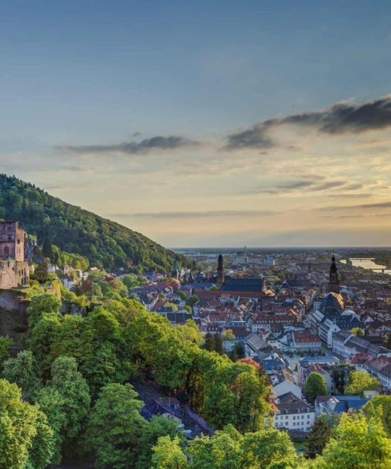 Rhine River Cruise: Food & Wine