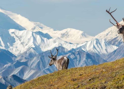 Alaska